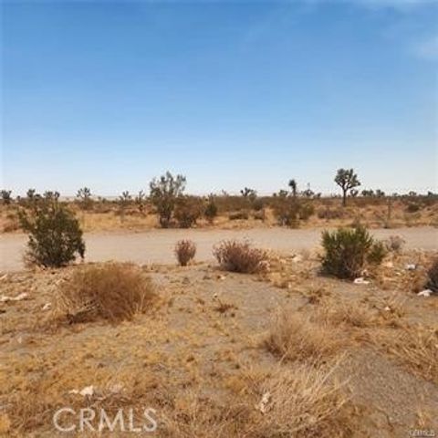 1590 Saratoga Road Pinon Hills CA 92372