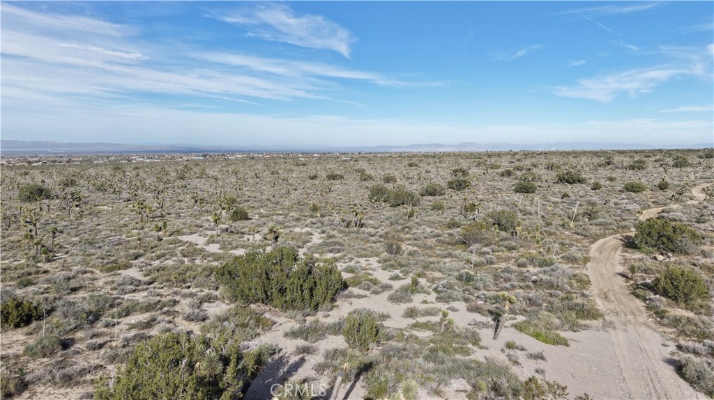 1111 Wintergreen Road