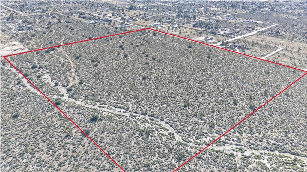 1111 Wintergreen Road