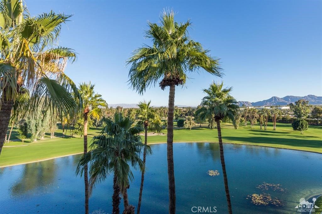 Desert Island (32123) - Residential Lease