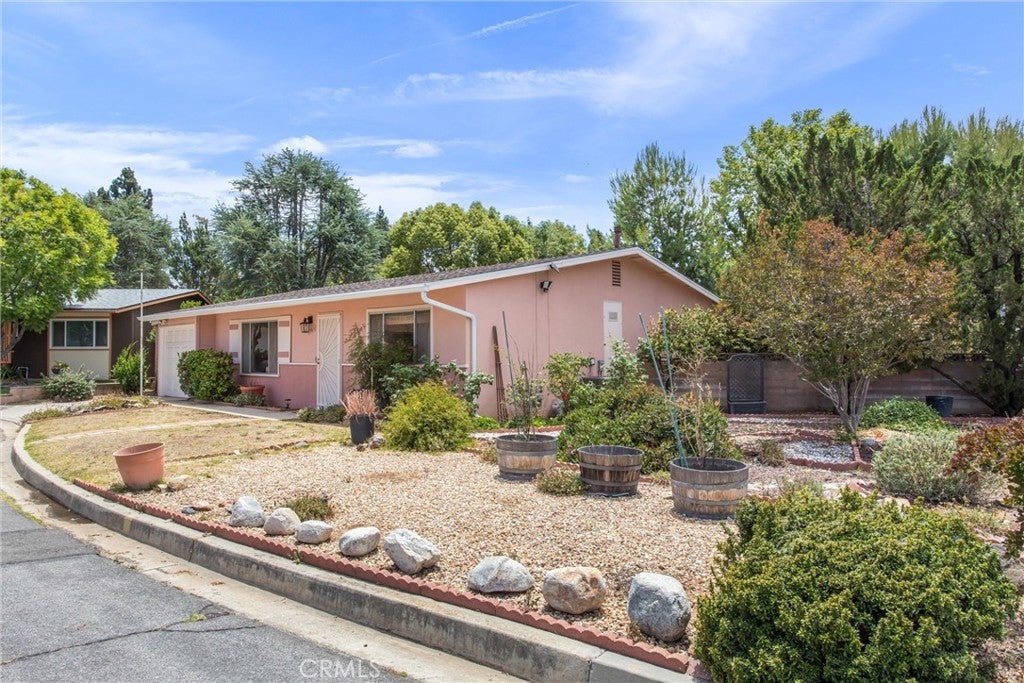 11965 Peach Tree