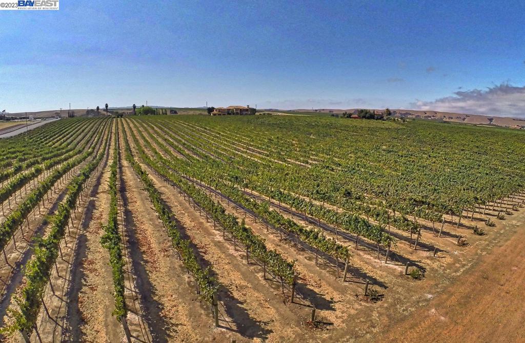 CRANE RIDGE VINEYARDS - Residential