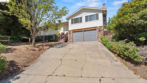 Photo of 1159 Everett Ct Ct, Concord, CA 94518 (MLS # 41130078)