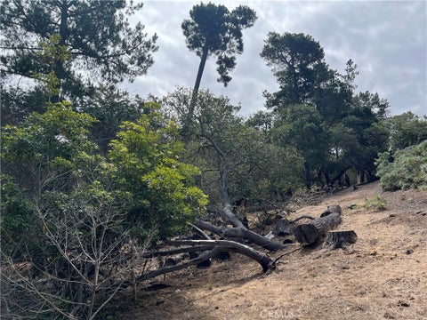 Tiny photo for 1280 Warren Road, Cambria, CA 93428 (MLS # SC26178406)