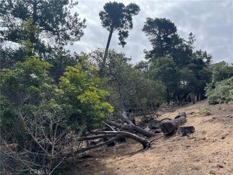 Tiny photo for 1280 Warren Road, Cambria, CA 93428 (MLS # SC26178406)