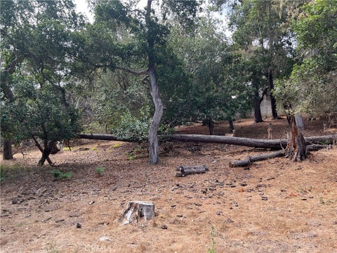 Tiny photo for 1280 Warren Road, Cambria, CA 93428 (MLS # SC26178406)