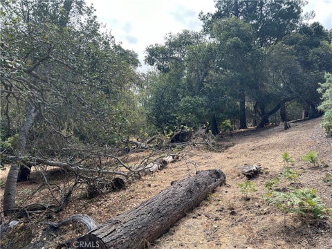 Tiny photo for 1280 Warren Road, Cambria, CA 93428 (MLS # SC26178406)