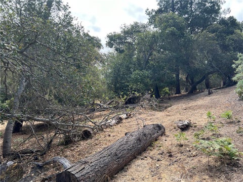 Tiny photo for 1280 Warren Road, Cambria, CA 93428 (MLS # SC26178406)