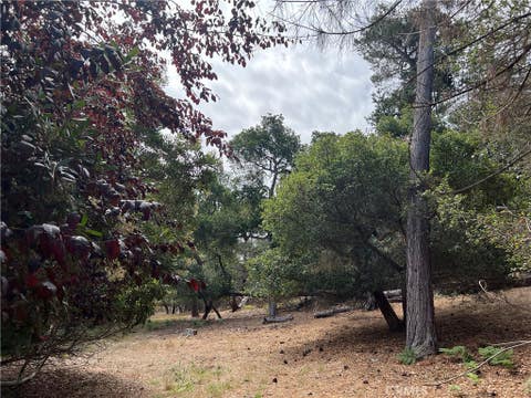 Tiny photo for 1280 Warren Road, Cambria, CA 93428 (MLS # SC26178406)