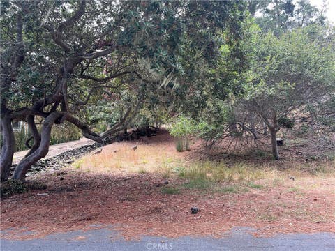 Tiny photo for 1280 Warren Road, Cambria, CA 93428 (MLS # SC26178406)