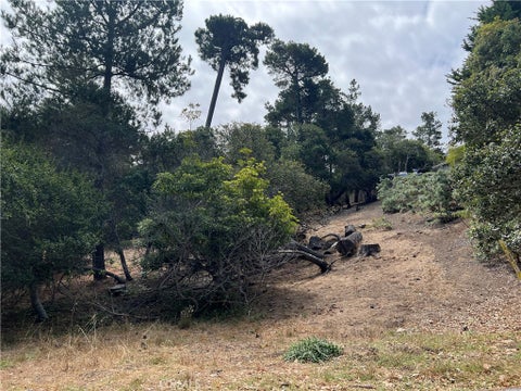 Tiny photo for 1280 Warren Road, Cambria, CA 93428 (MLS # SC26178406)