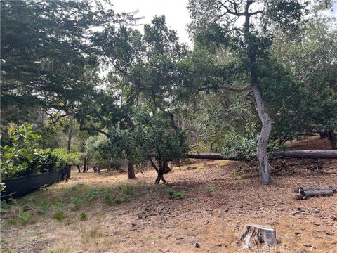 Photo of 1280 Warren Road, Cambria, CA 93428 (MLS # SC26178406)