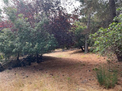 Tiny photo for 1280 Warren Road, Cambria, CA 93428 (MLS # SC26178406)