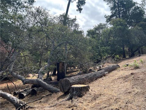 Tiny photo for 1280 Warren Road, Cambria, CA 93428 (MLS # SC26178406)