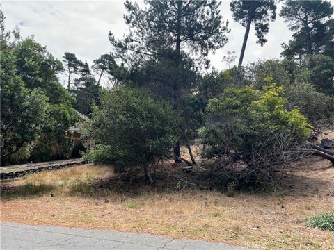 Tiny photo for 1280 Warren Road, Cambria, CA 93428 (MLS # SC26178406)