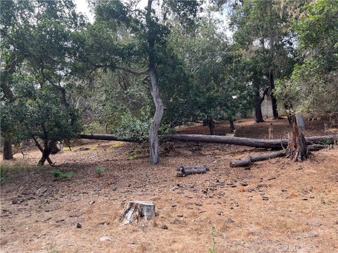 Tiny photo for 1280 Warren Road, Cambria, CA 93428 (MLS # SC26178406)