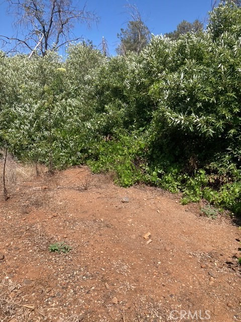 2 Wayland Road