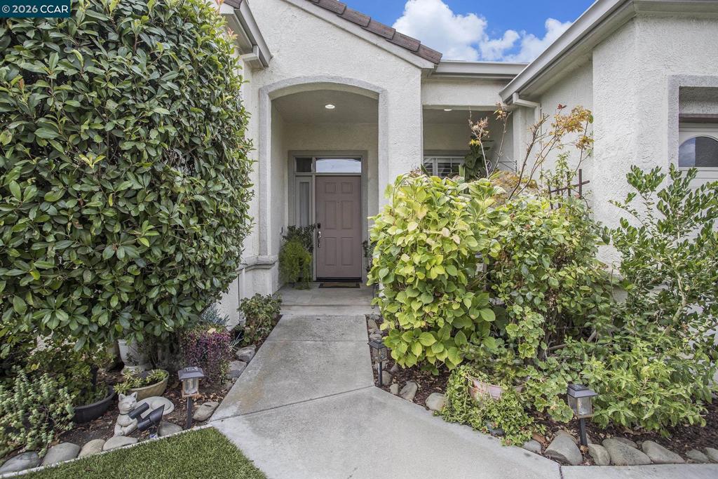 451 Tayberry Ln