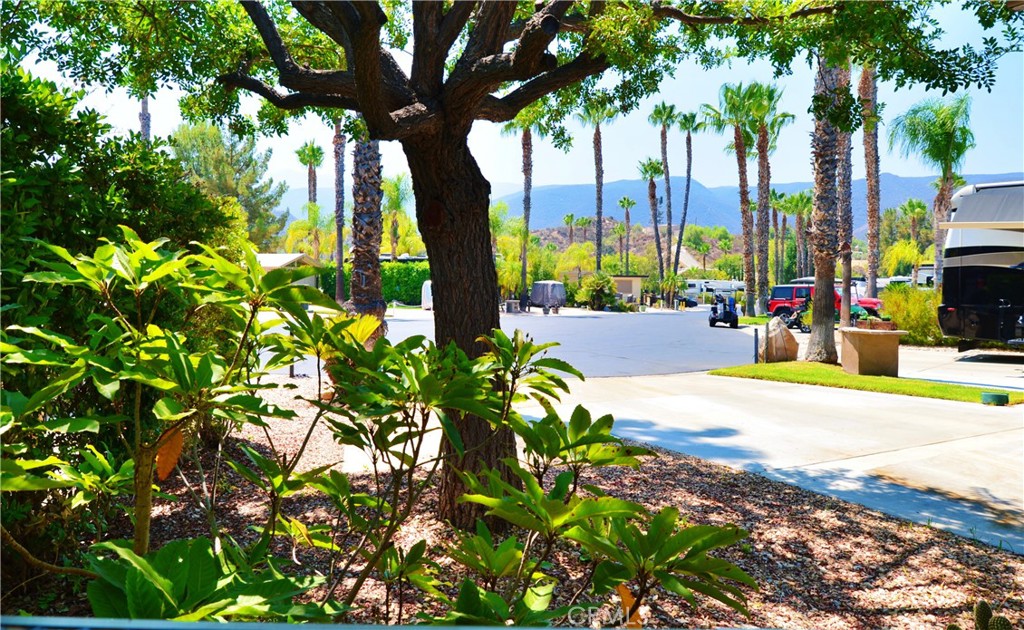 45525 Highway 79 Lot 297