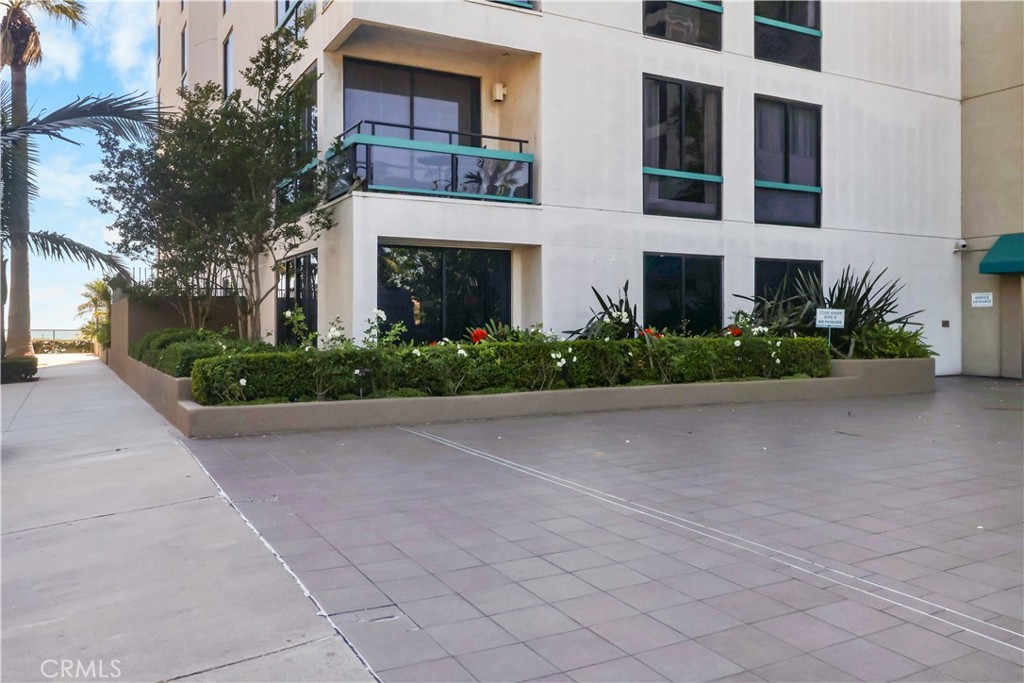 1310 E Ocean Boulevard 101