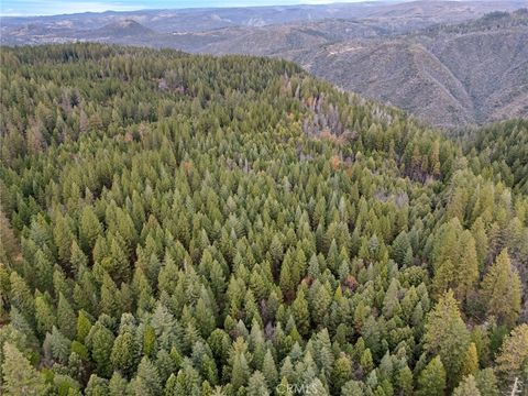 0 Old Forbestown Road Forbestown CA 95941