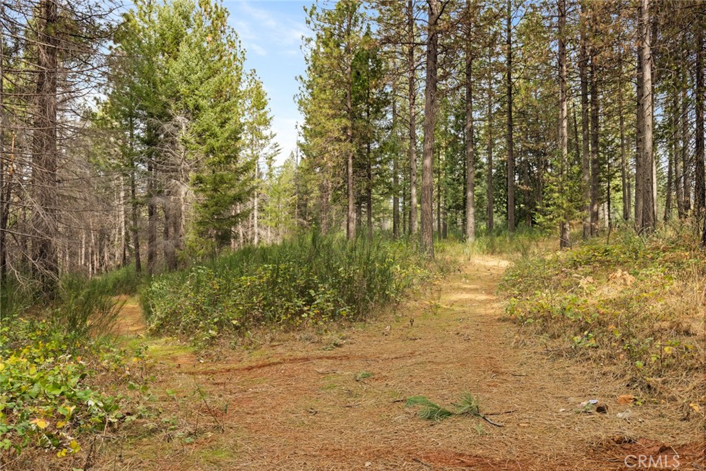 0 Old Forbestown Road