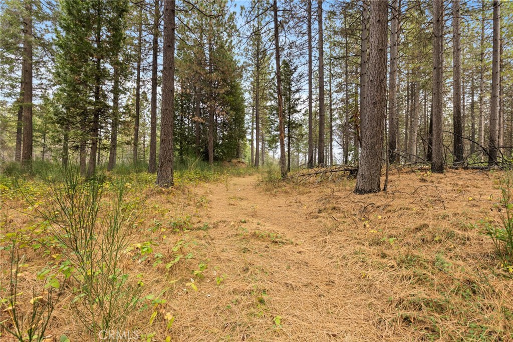 0 Old Forbestown Road