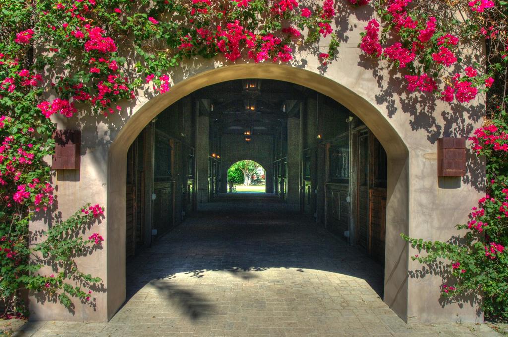 Vista Santa Rosa - Residential