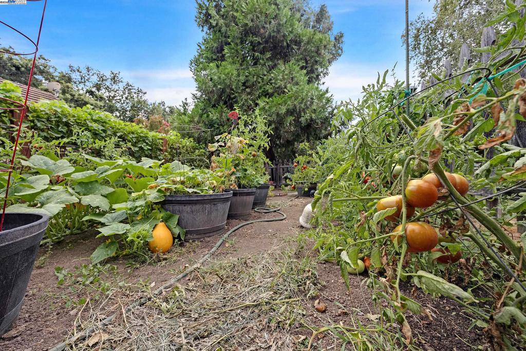 HAPPY VALLEY - Residential