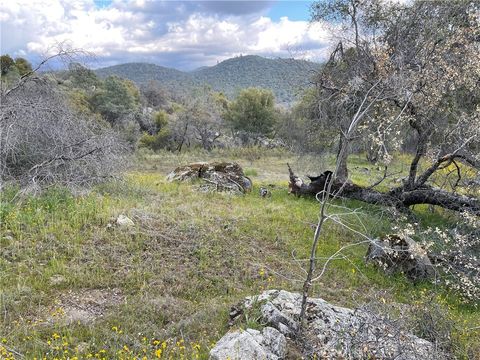 Photo of 3786 Bronco Hollow Rd, Mariposa, CA 95338 (MLS # MP24208762)