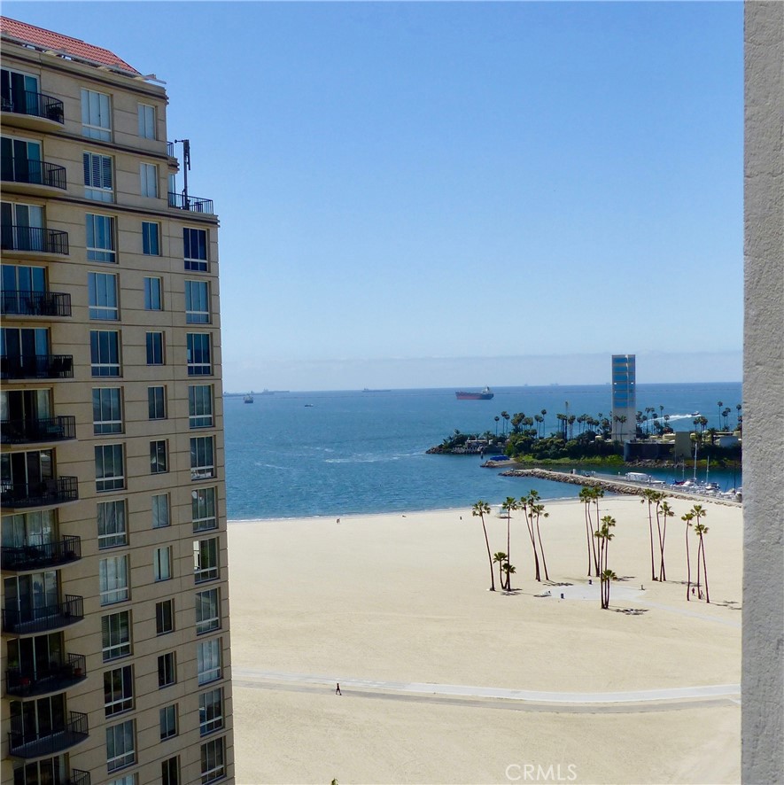 800 E Ocean Boulevard 1007