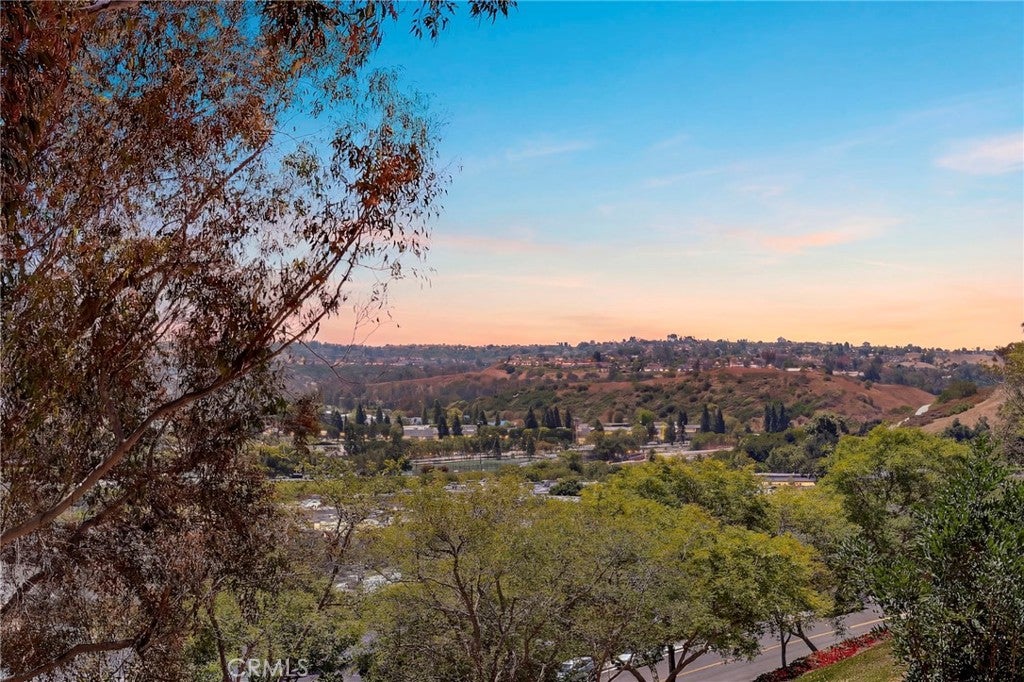 59 Sandcastle, Aliso Viejo CA 92656 - Photo 19