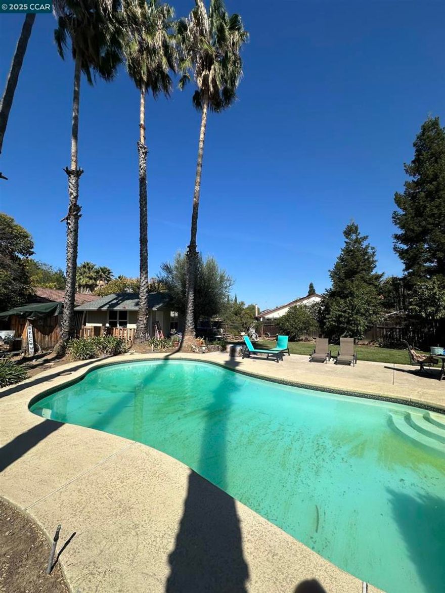 Welcome to 15 Cindy Place, Brentwood! Nestled on a quiet court in one of California’s cities once designated as a Playful City USA, this beautiful home sits on a spacious quarter-acre lot. Enjoy the benefits of fully paid-off solar, a sparkling pool and spa combo, and an abundance of fruit trees including orange, cherry, peach, guava, apricot, and two olive trees. Located within the highly sought-after Heritage High School boundary, this property offers endless potential—whether you’re looking to relax, entertain, or grow.