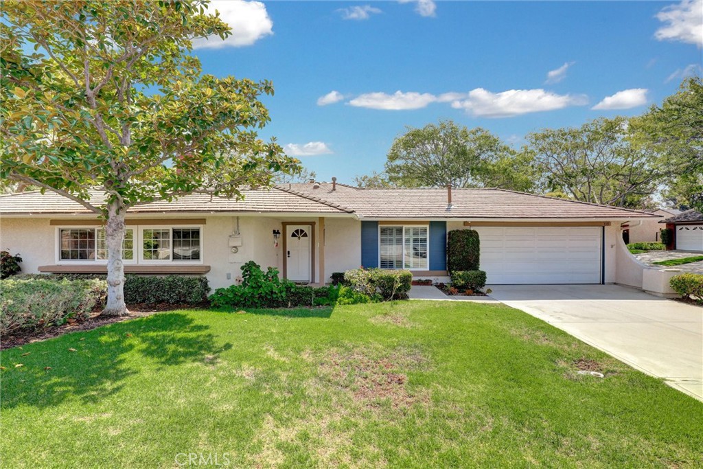 5111 Alder