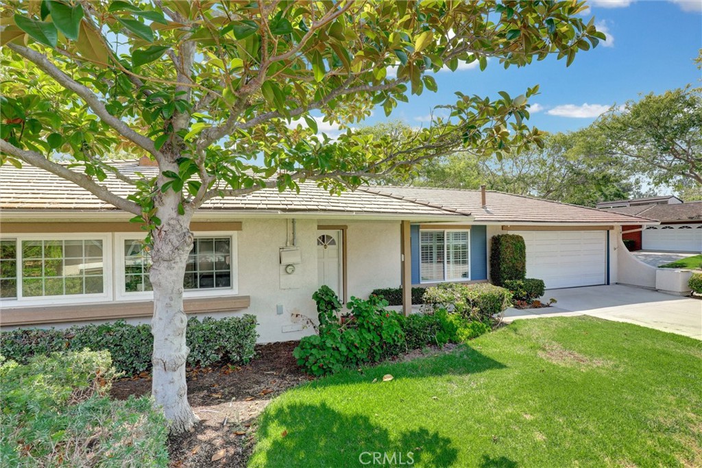 5111 Alder
