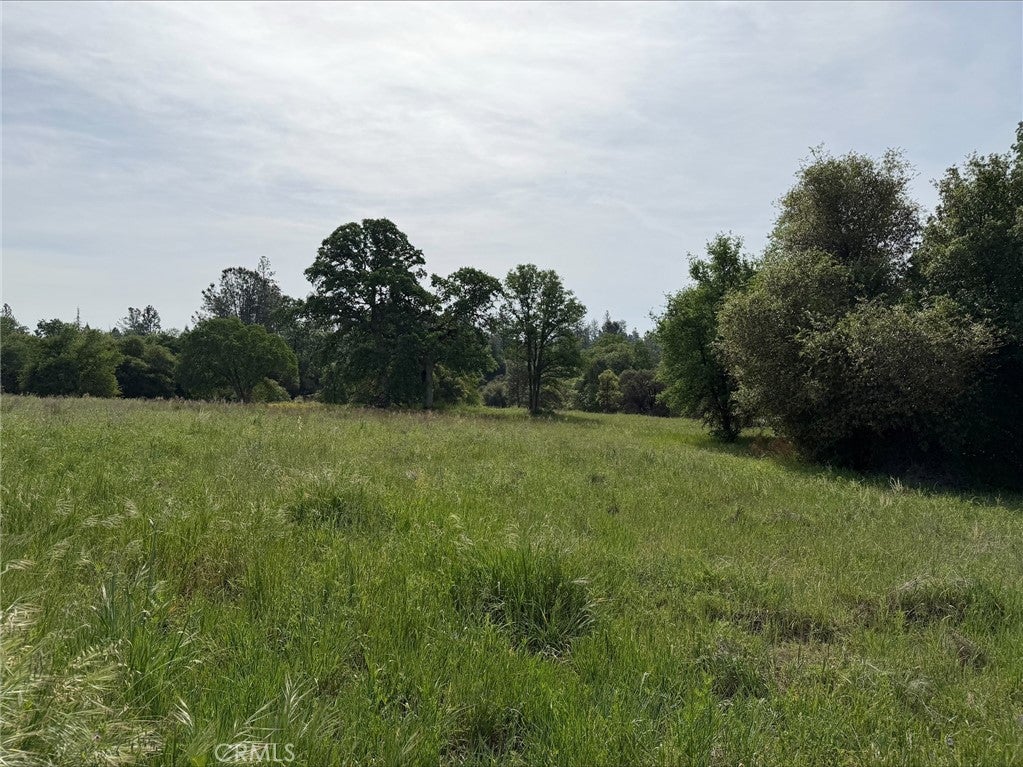 5 Acres Mountain Springs Road