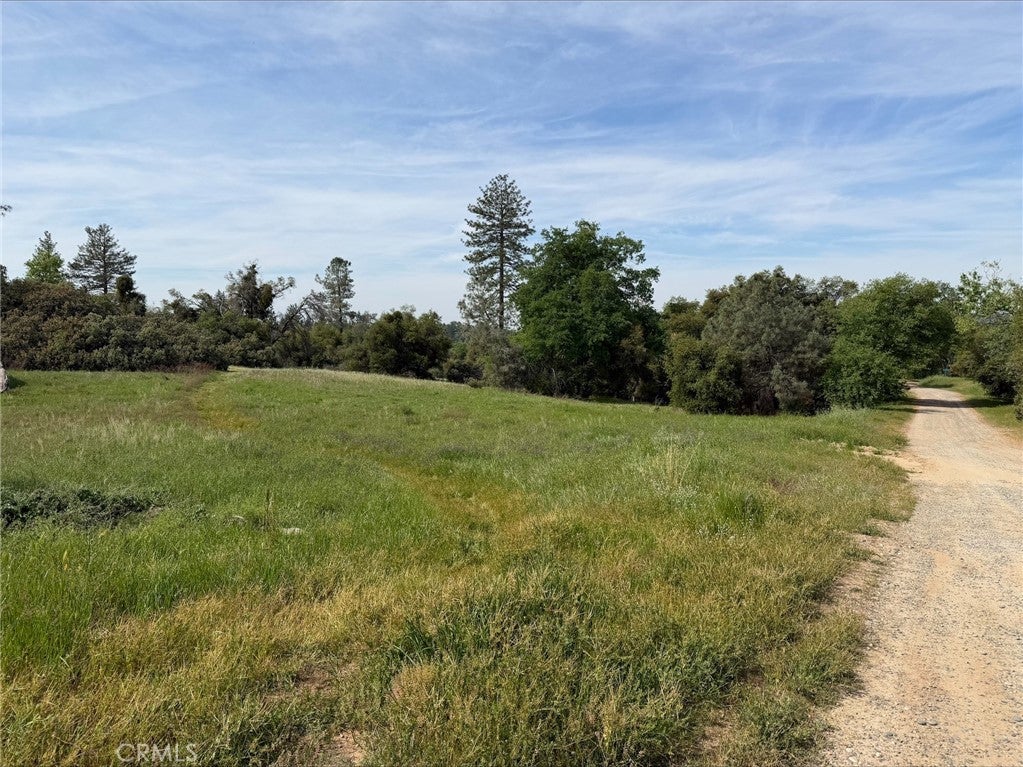 5 Acres Mountain Springs Road