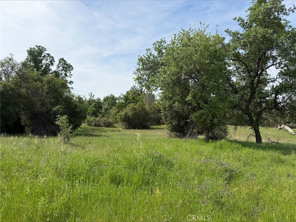 5 Acres Mountain Springs Road