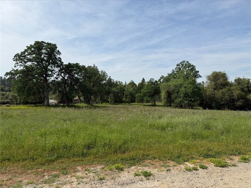 5 Acres Mountain Springs Road