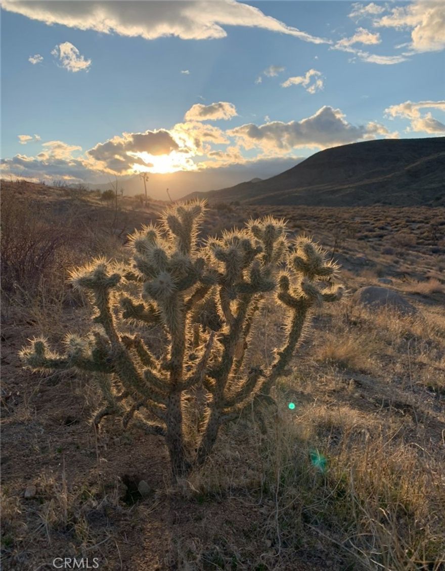 37.82 Acres of Desert Elegance in Iconic Pioneertown.







Step into a world where the rugged beauty of the High Desert meets the promise of endless opportunity. This extraordinary 37.82-acre property in Pioneertown is more than land—it’s an escape, a vision, and a canvas for creating something truly remarkable.







With a private water well, installed just three years ago, and electricity accessible at the property’s edge, the groundwork for your dream has already begun. Imagine waking up to sweeping mountain vistas, the iconic silhouettes of Joshua Trees, and skies that transform into a masterpiece of color every evening. When night falls, a sea of stars unfolds, offering serenity and inspiration found only in the Mojave.







This property combines seclusion and sophistication, located minutes from the world-famous Pappy & Harriet’s Pioneertown Palace and a short drive from Joshua Tree National Park, Yucca Valley, and Palm Springs. Whether you’re envisioning a luxurious modern retreat, an exclusive desert estate, or a serene vacation compound, this land offers unmatched potential in one of California’s most coveted destinations.







Own a piece of the High Desert—where luxury, nature, and possibility converge!
