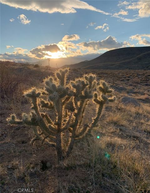 Photo of 0 E Drive, Pioneertown, CA 92268 (MLS # SW25164124)