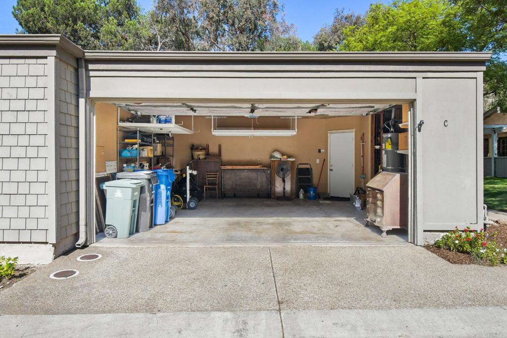 Smoke Tree (SMTR) - Residential