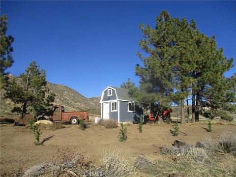 28391 Skyway Drive Ranchita CA 92066