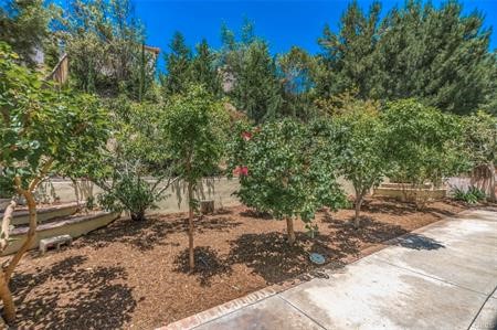 6711 E Bonita Court