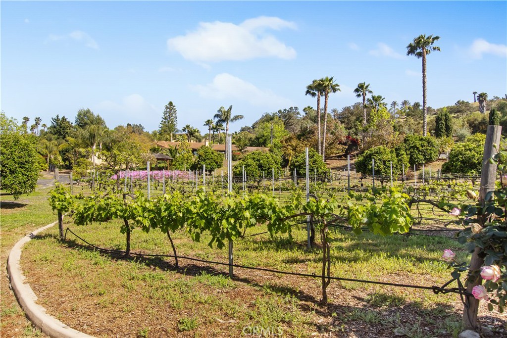Bonsall - Residential