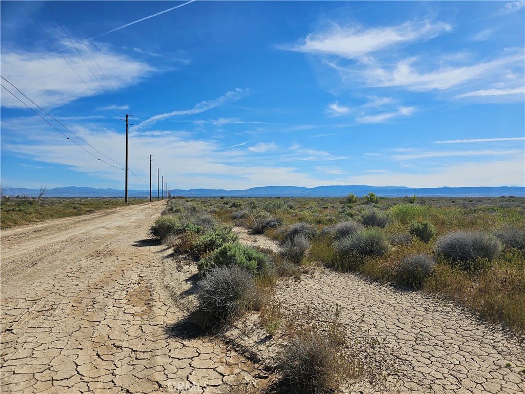 Great opportunity to build your home or ranch in this lot. There is 165 feet of frontage on 10 St West , located between Freeway 14 and Sierra Hwy
surround by many home. Seller will carry 30% down with good finance term. Buyers to complete their own independent investigation Zoning , utilities,
land surveys etc.