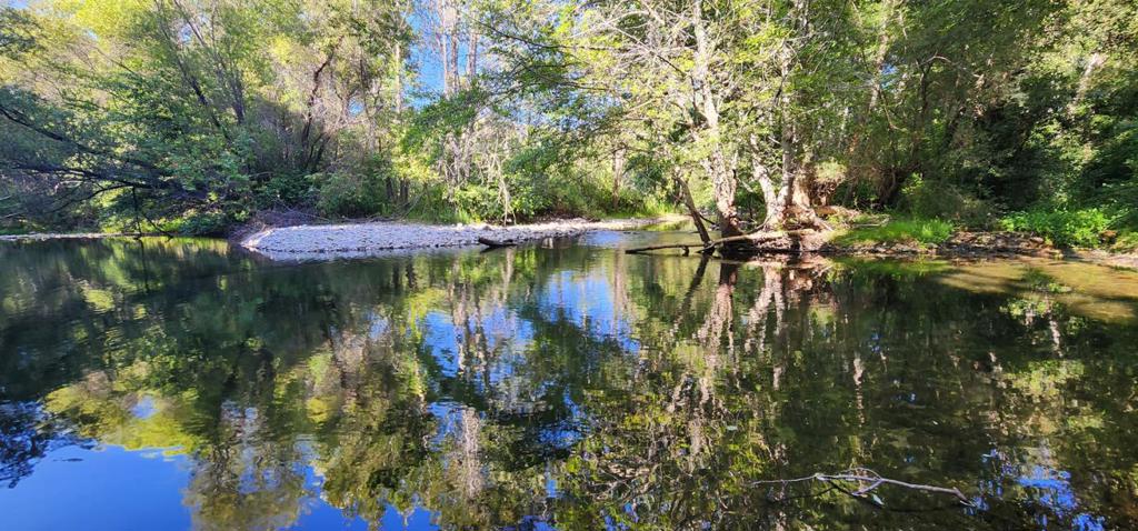 What a great opportunity to own a piece of Carmel Valley paradise on the river. This 2 acre parcel includes a unique mid-century post and beam style 2000+ sq ft home that has amazing natural light, fantastic outdoor space and a very private swimming hole on the Carmel River. Recently updated, the open concept living area features a new kitchen, a cozy fireplace, soaring ceilings covered in warm wood and exposed beams and windows stretching 2 stories high creating an open, almost treehouse feel. The loft above is the primary suite and is also exposed to these windows and takes full advantage of the views. There is a second bedroom and remodeled bath on the main level of the home along with an additional room under the main level for storage. Additionally, property consists of a converted rental unit in garage/carport by prior owner -without permits, adding approximately 400+/- sq ft for approximately 2400 sf total. Located about a mile from the Village, right next to the Carmel Valley Trail and Saddle Club, and easy access to Monterey Peninsula Regional Park hiking trails.