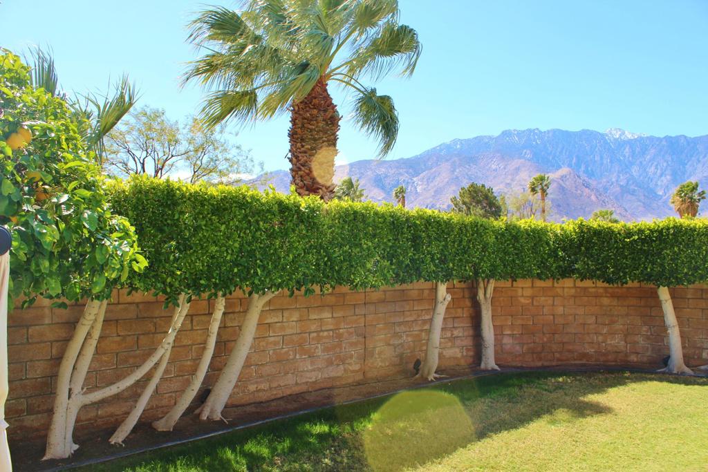 Sunrise Palms - Residential Lease
