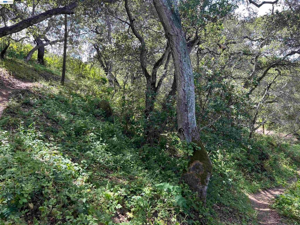 Photo 1 of 4 — 00 Marburger Ave., Belmont, CA 94002