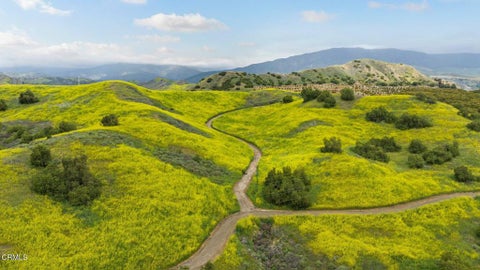 Photo of 0 Dickenson Road, Santa Paula, CA 93060 (MLS # V1-35974)